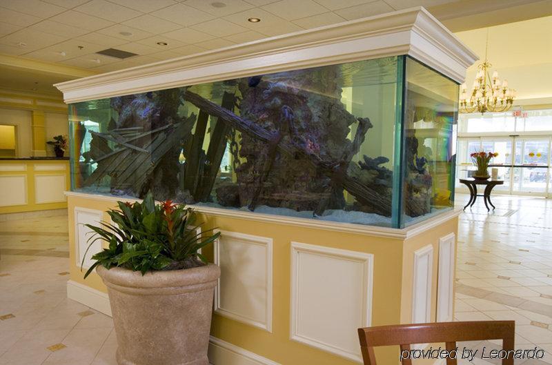 Hilton Garden Inn Outer Banks/Китти-Хок Интерьер фото